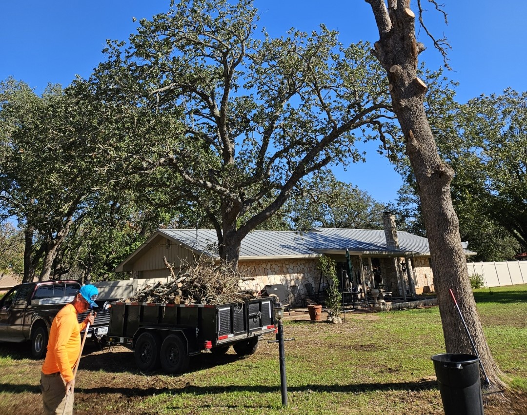 Tree Service